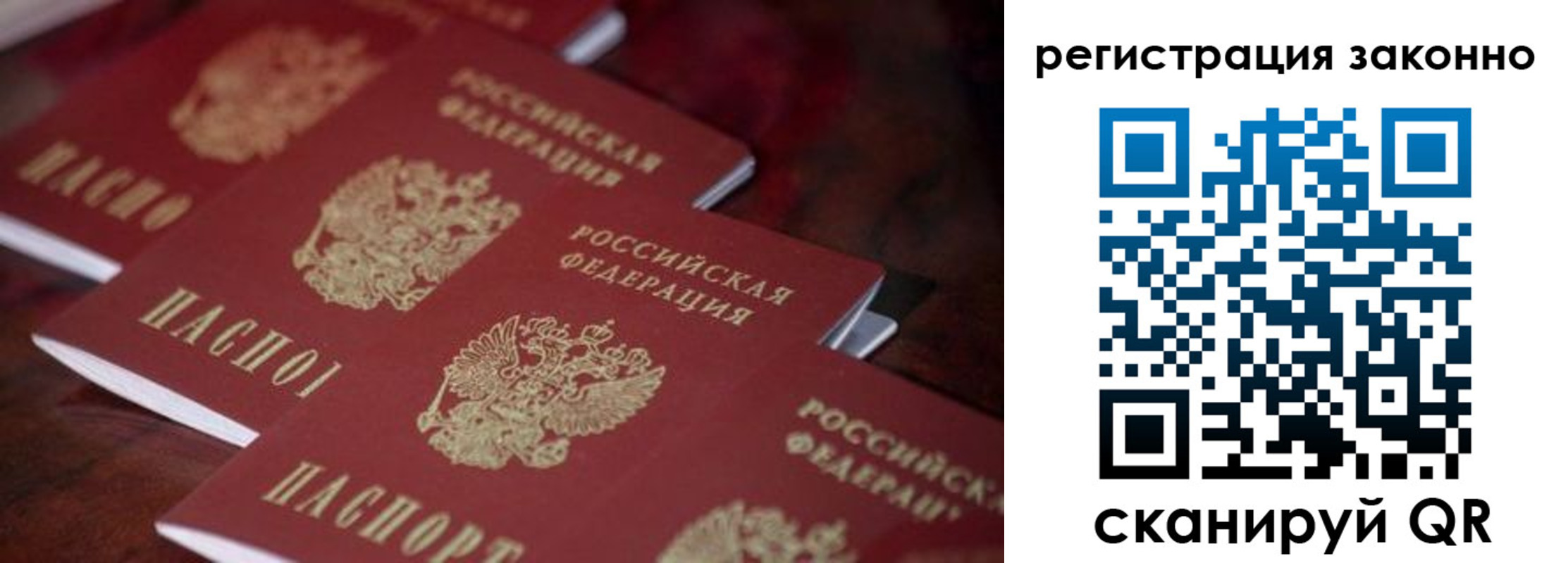 временная регистрация гарантия в Дмитрове