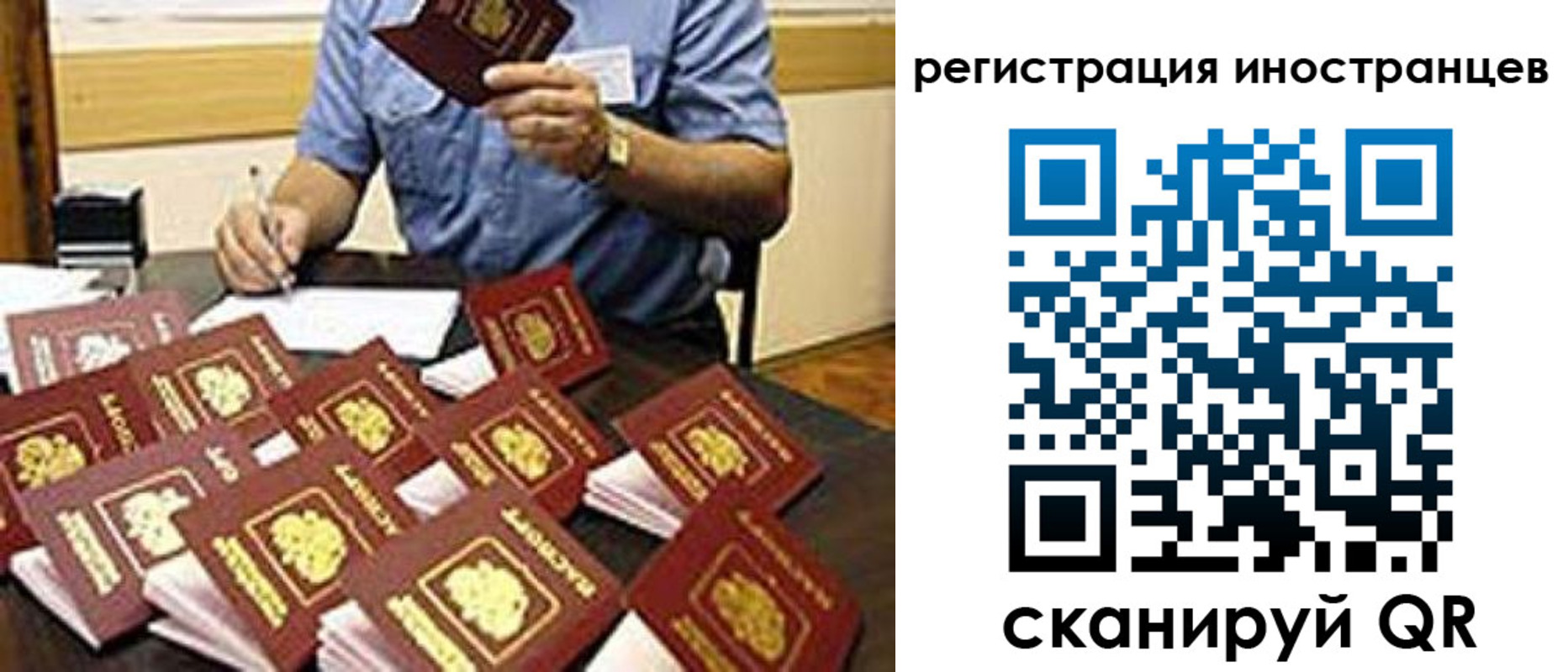 прописка 2025 в Дмитрове